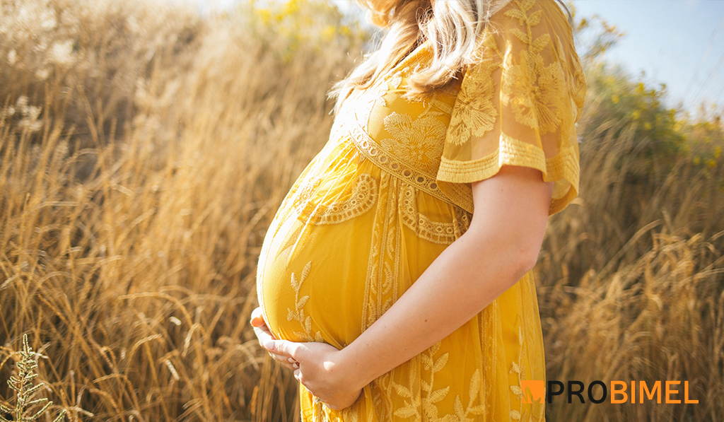probioticos naturales probimel y el embarazo
