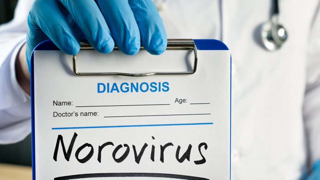 norovirus